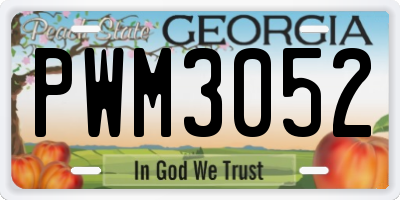 GA license plate PWM3052