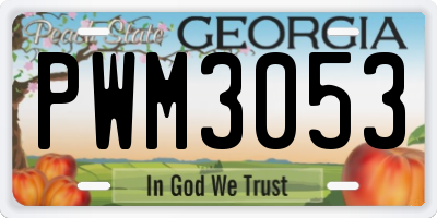 GA license plate PWM3053
