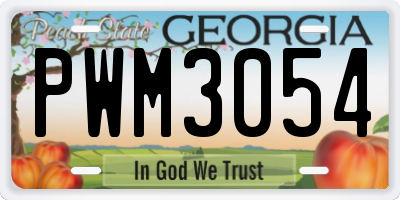 GA license plate PWM3054