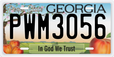 GA license plate PWM3056