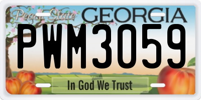 GA license plate PWM3059