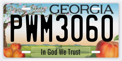 GA license plate PWM3060