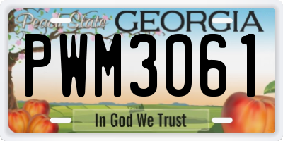 GA license plate PWM3061