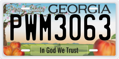 GA license plate PWM3063