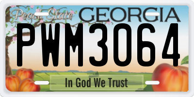 GA license plate PWM3064