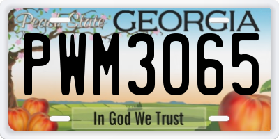 GA license plate PWM3065