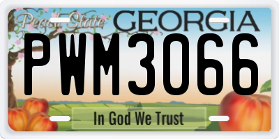 GA license plate PWM3066