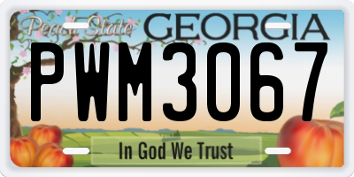 GA license plate PWM3067