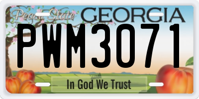GA license plate PWM3071