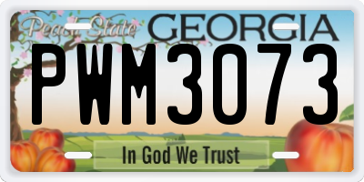 GA license plate PWM3073