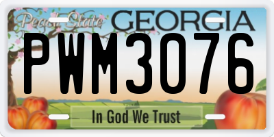 GA license plate PWM3076