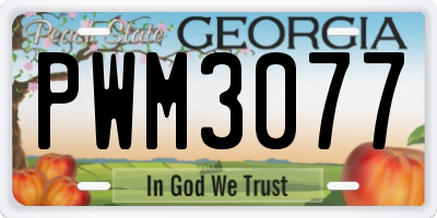 GA license plate PWM3077