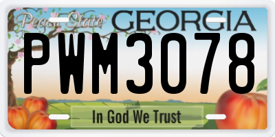 GA license plate PWM3078