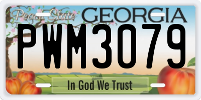GA license plate PWM3079