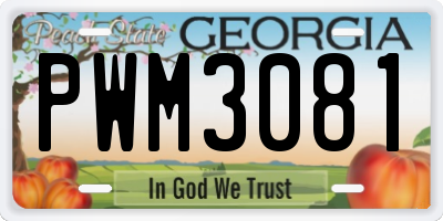 GA license plate PWM3081