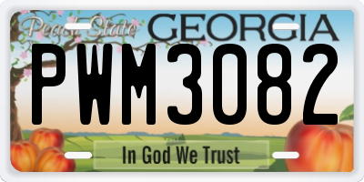 GA license plate PWM3082