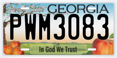 GA license plate PWM3083