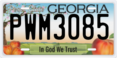 GA license plate PWM3085