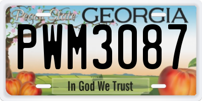 GA license plate PWM3087