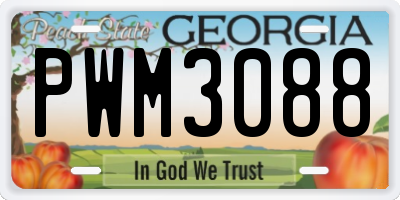 GA license plate PWM3088