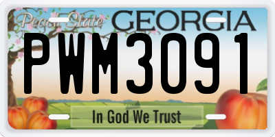 GA license plate PWM3091