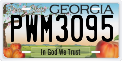 GA license plate PWM3095