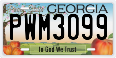 GA license plate PWM3099