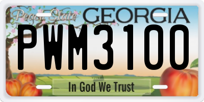 GA license plate PWM3100