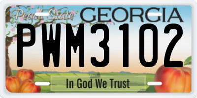 GA license plate PWM3102