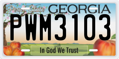 GA license plate PWM3103