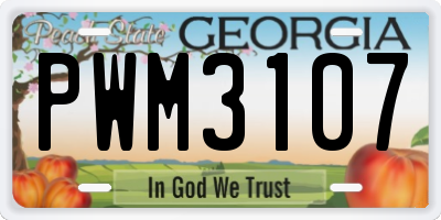 GA license plate PWM3107
