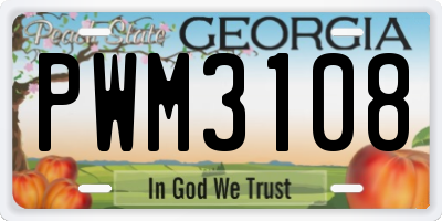 GA license plate PWM3108