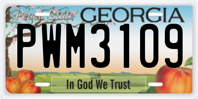 GA license plate PWM3109