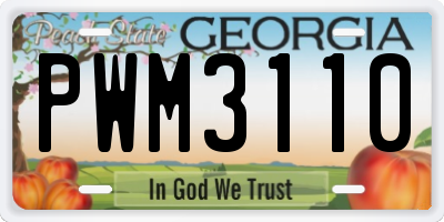 GA license plate PWM3110