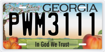 GA license plate PWM3111