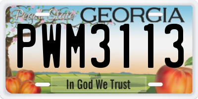 GA license plate PWM3113