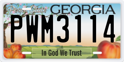 GA license plate PWM3114