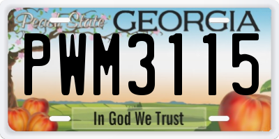 GA license plate PWM3115