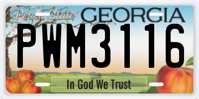 GA license plate PWM3116