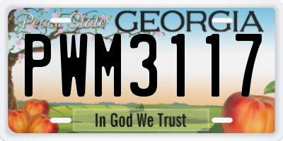 GA license plate PWM3117