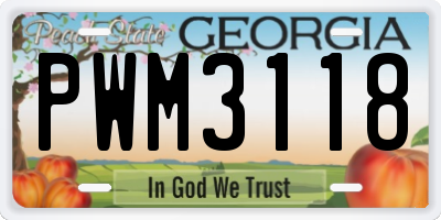 GA license plate PWM3118