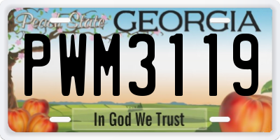 GA license plate PWM3119