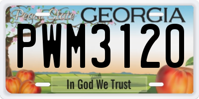 GA license plate PWM3120