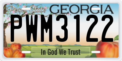 GA license plate PWM3122