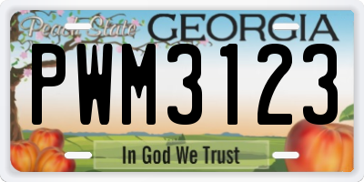 GA license plate PWM3123