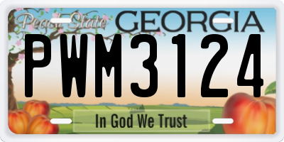 GA license plate PWM3124