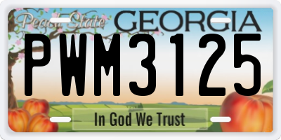 GA license plate PWM3125