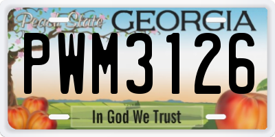 GA license plate PWM3126