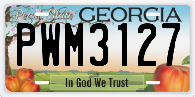 GA license plate PWM3127