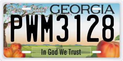 GA license plate PWM3128